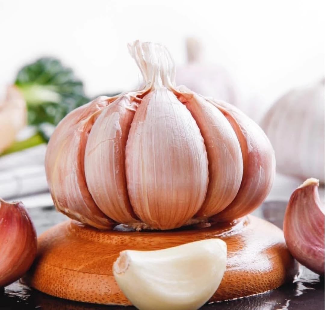 1 Pound Hard Neck Garlic for Planting in Fall, Big Garlic Bulb for Planting, Fresh and High Yield
