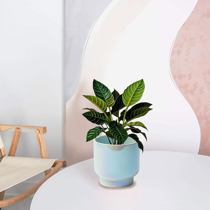 LB Blue Ceramic Planters for Indoor Plants, Succulent Plant Pots Ceramic Plant Pot, Modern Flower