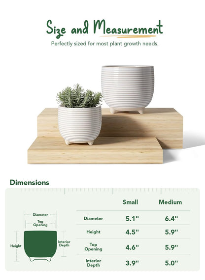 LE TAUCI Ceramic Plant Pots, 5.1 + 6.4 Inch Footed Pots for Plants, Modern Flower Pots for Home and