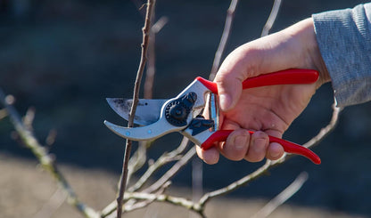 – Professional Bypass Hand Pruning Shears – Durable, Heavy Duty, Landscaping