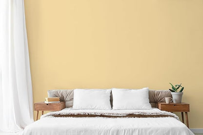 EVOLVE Paint & Primer: Environment-friendly, Low Sheen with One-coat Coverage for Interior &