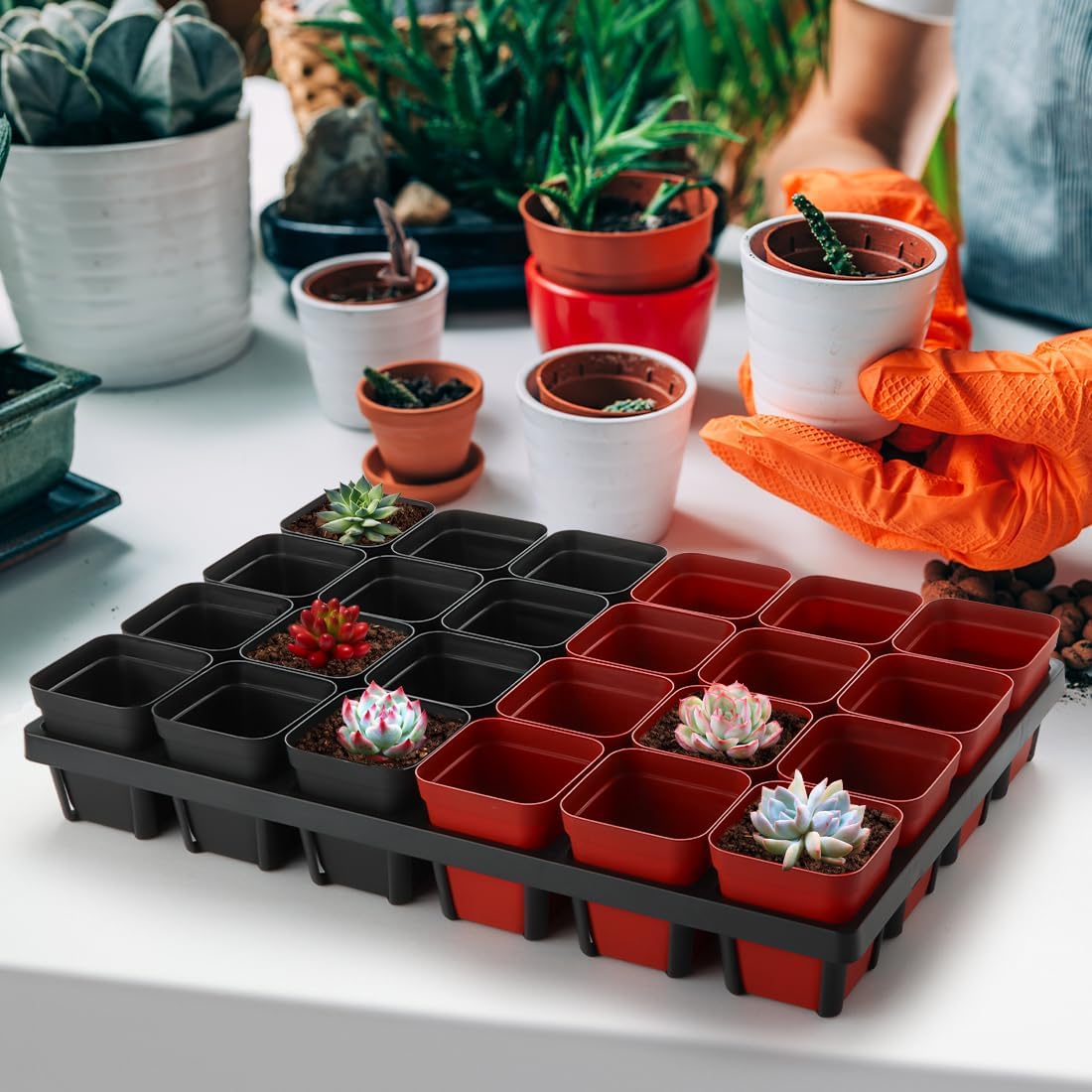 Square Nursery Pot Tray with 24 Cells, 5 Pack Plant Trays for Pots, Flower Pot Moving Tray, Plastic