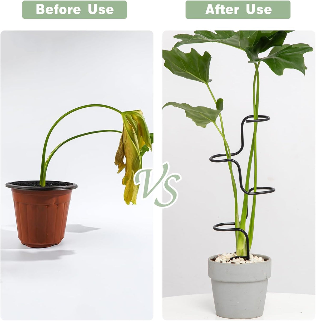 3PCS Indoor Plant Support Stakes - Sturdy Metal Trellis for Garden Flowers & Monstera, Durable &