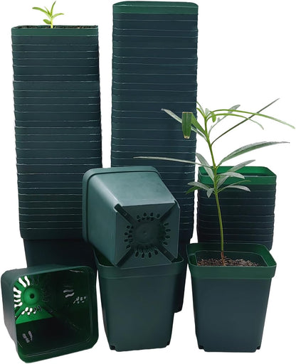 Square Nursery Seedling Pot 3.5 Inches 90 Pcs, Small Nursery Pot Plastic Thick and Sturdy Seed