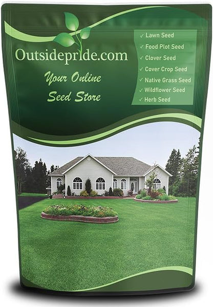 Outsidepride Perennial Buffalo Grass Seed - 5 lbs Heat & Drought Tolerant, Low Maintenance, Warm