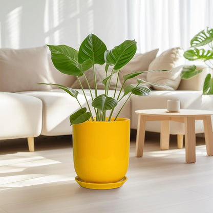 Ceramic Pot for Plants - 10 Inch Plant Pot Indoor with Drainage Hole and Saucer Large Planter for