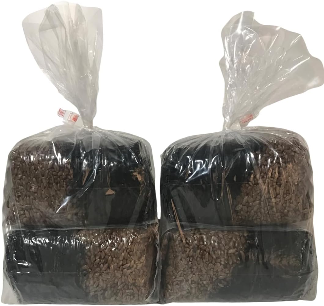 Mushroom Grow Kit - Magic All in One Mushroom Grow Bags - 4 Pack