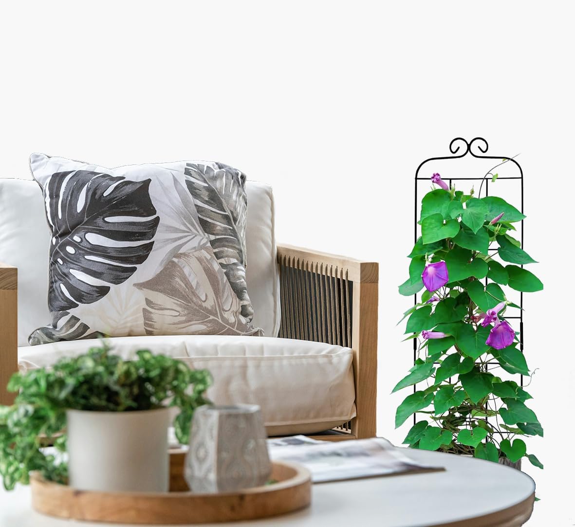 4 Pack 31'' Plant Trellis for Climbing Plants Indoor & Outdoor, Metal Trellis for Potted Plants