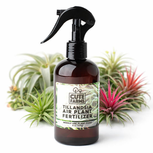 Cute Farms Tillandsia Air Plant Fertilizer | Gentle Weekly Use Formula Plant Food | Formulated