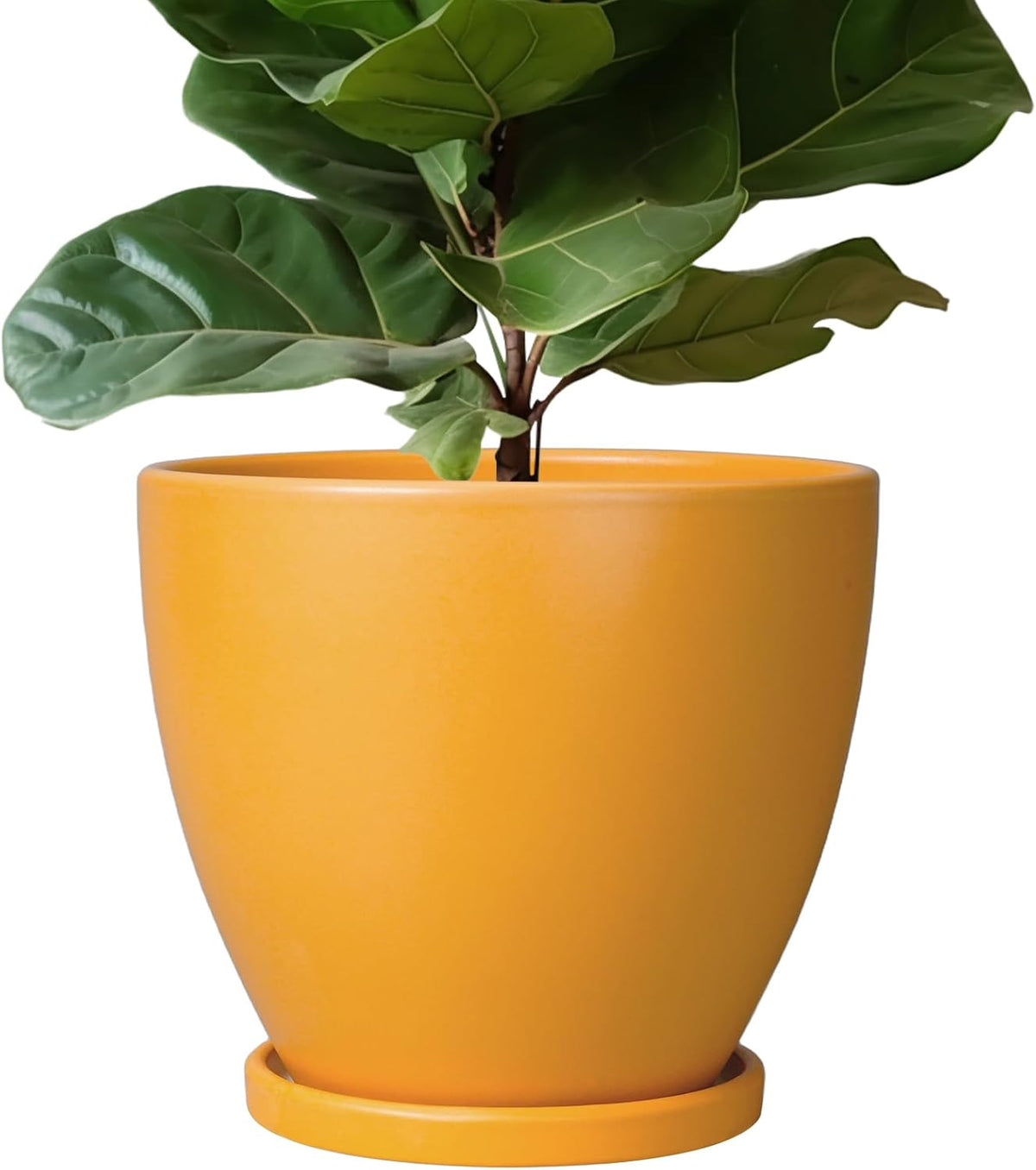 10 Inch Plant Pot - Ceramic Planter with Drainage Hole and Saucer, Modern Flower Pot, Round