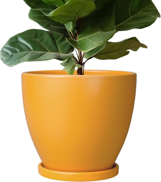 10 Inch Plant Pot - Ceramic Planter with Drainage Hole and Saucer, Modern Flower Pot, Round