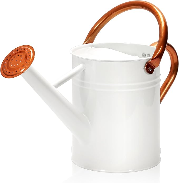 Metal Watering Can with Removable Spout, Galvanized Watering Can, Perfect for Indoor Use and for