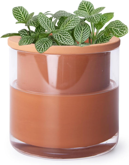Phoenix Vine 4 Inch Self Watering Plants Pot, Design Terracotta Pot for Plants, Indoor Cylinder