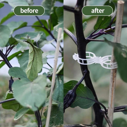 Plant Support Clips, Reusable Garden Clips Plant Holder Clips, Plastic Tomato Vine Grape Clips for