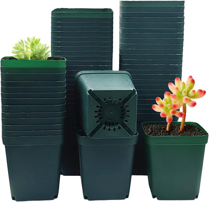 Square Nursery Succulent Pots 4 Inches 60 Pcs Deep Flower Plant Nursery Seedling Grow Pots Plastic