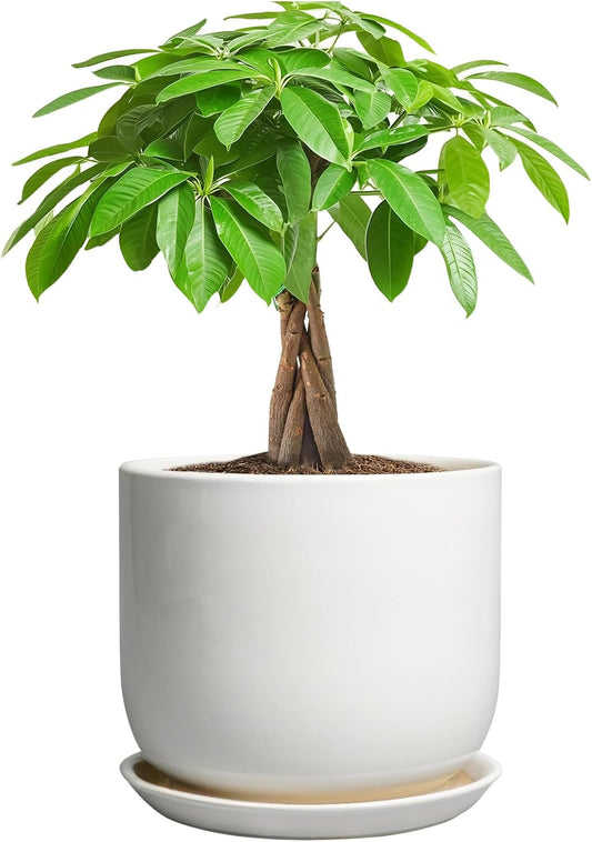 Ceramic Pot for Plants 7 Inch - Modern Round Indoor Outdoor Planter with Drainage Hole and Saucer