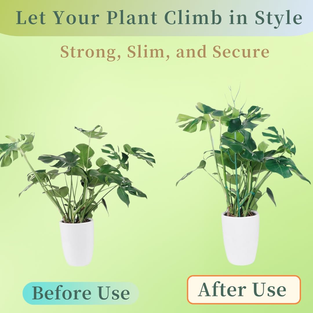 5 Pack Stackable Plant Support Stakes, 38inch Climbing Plant Sticks Structures for Monstera with