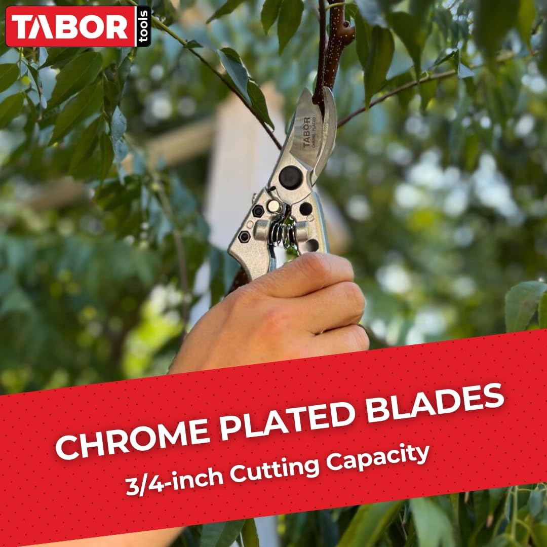 TABOR TOOLS S834A Bypass Pruning Shears, Makes Clean Cuts, Professional Sharp Secateurs, Great for