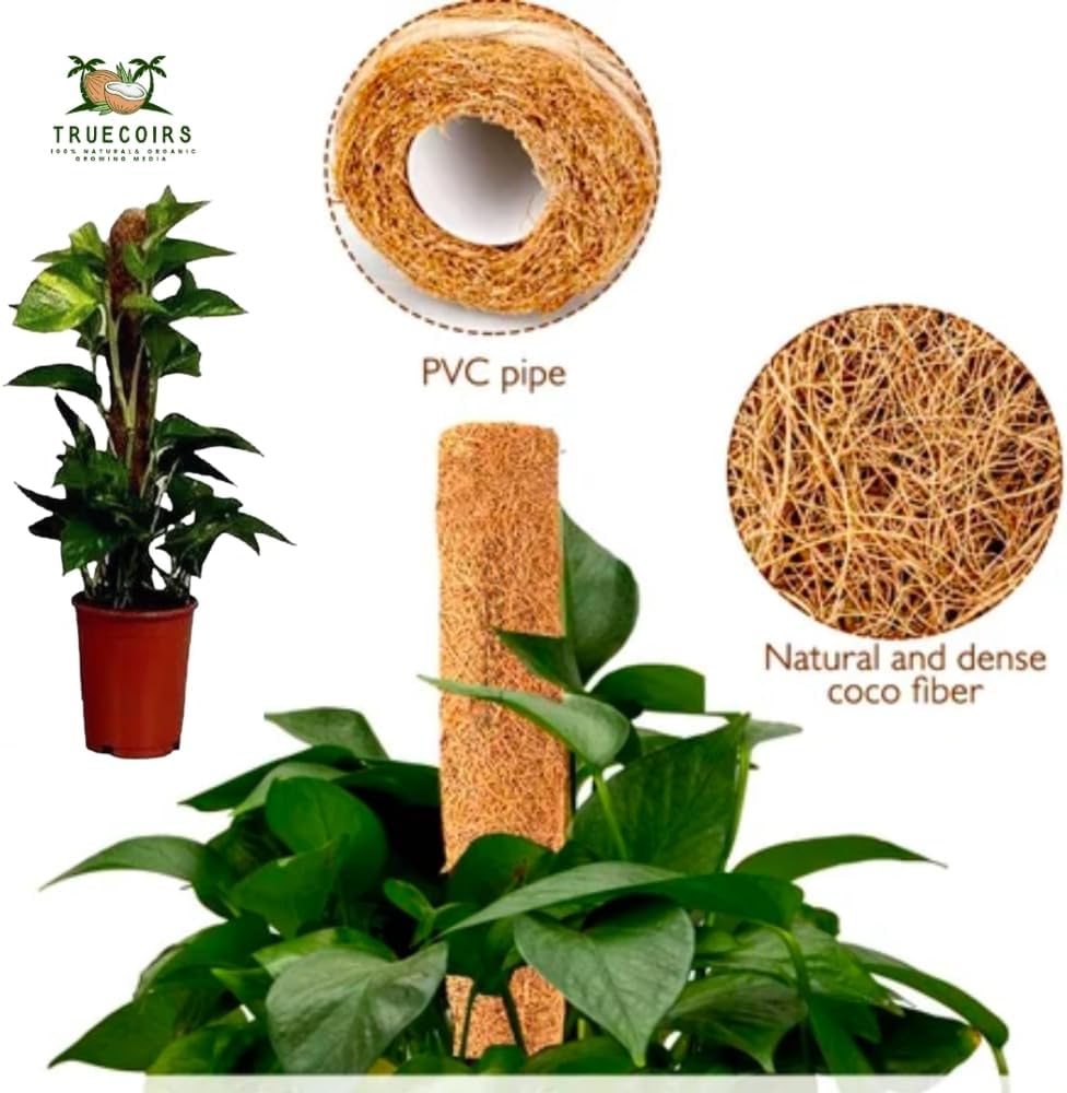 Pack of 6 Coco Coir Pole- Plants Monstera 24" Sized Poles for Climbing Plants, Plant Support Stakes