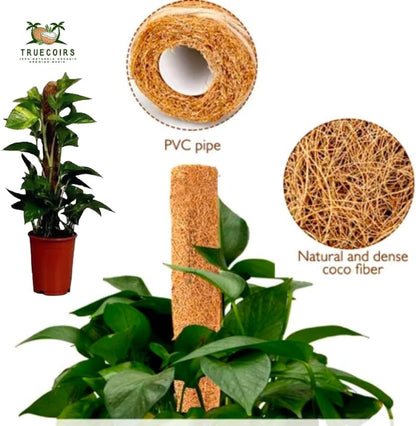 Pack of 6 Coco Coir Pole- Plants Monstera 24" Sized Poles for Climbing Plants, Plant Support Stakes