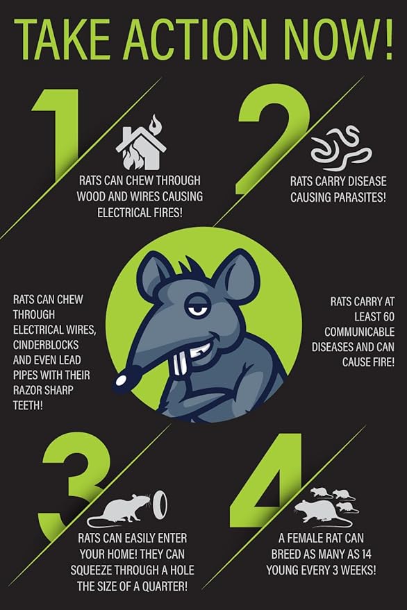 Rat Trap Six Pack - Indoor and Outdoor Traps for Mice, Voles, Rats, Chipmunks - Easy to Set