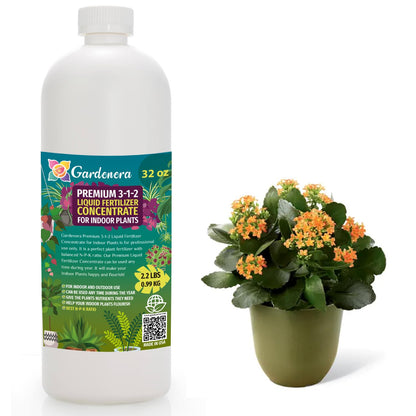 Premium Liquid Indoor Plants Fertilizer - 3-1-2 Concentrate for Indoor Plants and Flowers by