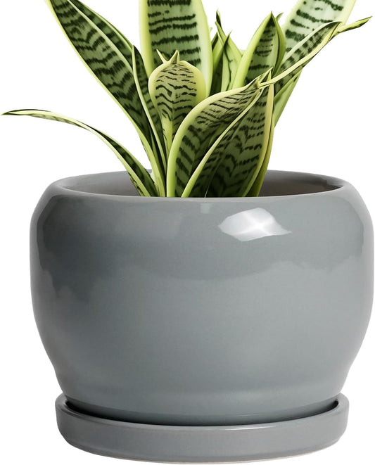 SQOWL 6 Inch Plant Pots - Ceramic Planter with Drainage Hole and Saucer, Round Ceramic Flower Pot