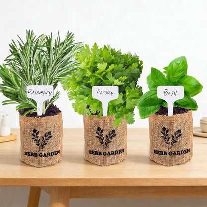 Indoor Herb Garden Kit – Complete Starter Growing Set with Planter Bags, Soil Discs & Tools | Easy