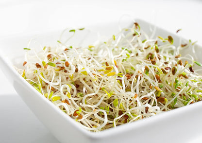 Organic Alfalfa Seeds for Sprouting, 25 Pounds – Non-GMO, Edible Seeds, Pure, Vegan, Kosher, Bulk.