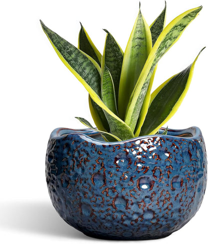 8 Inch Plant Pot - Ceramic Planter for Indoor Outdoor Plants, Round Unique Plant Pots with Drainage