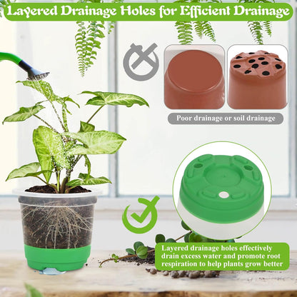 Caffox 55PCS Reusable Seed Starter Kit Includes 30 Packs 3.5" Clear Nursery Pots with Silicone