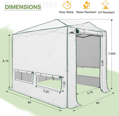 EAGLE PEAK Instant Pop-up Greenhouse, Indoor Outdoor Plant Gardening Green House, Roll-Up Zipper