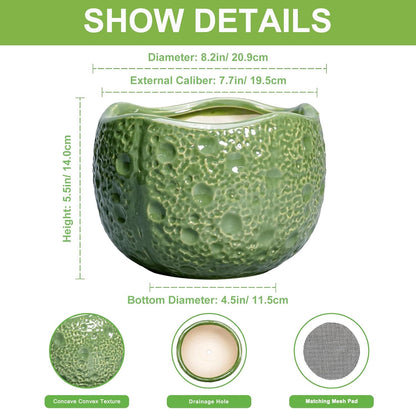 8 Inch Plant Pot - Ceramic Pots for Plants with Drainage Hole, Round Decorative Plant Pots for