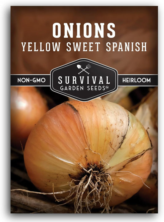 Yellow Sweet Spanish Onion Seed for Planting - 1 Packet with Instructions to Plant and Grow Long