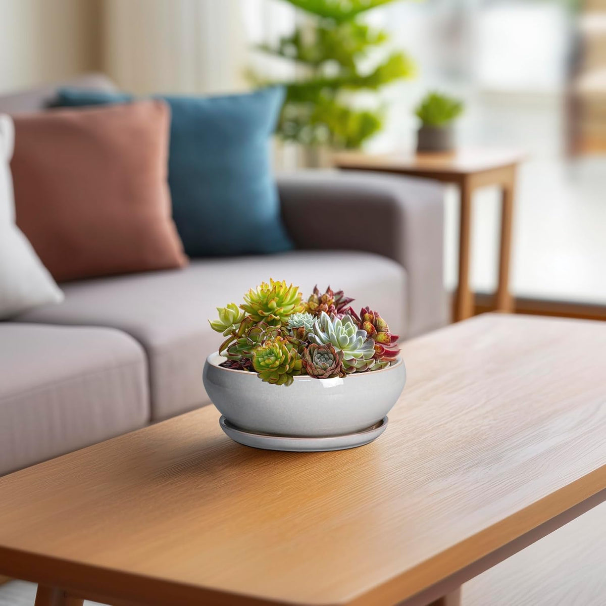 SQOWL Succulent Planters 6 Inch - Ceramic Bonsai Pots with Drainage Hole and Saucer, Shallow