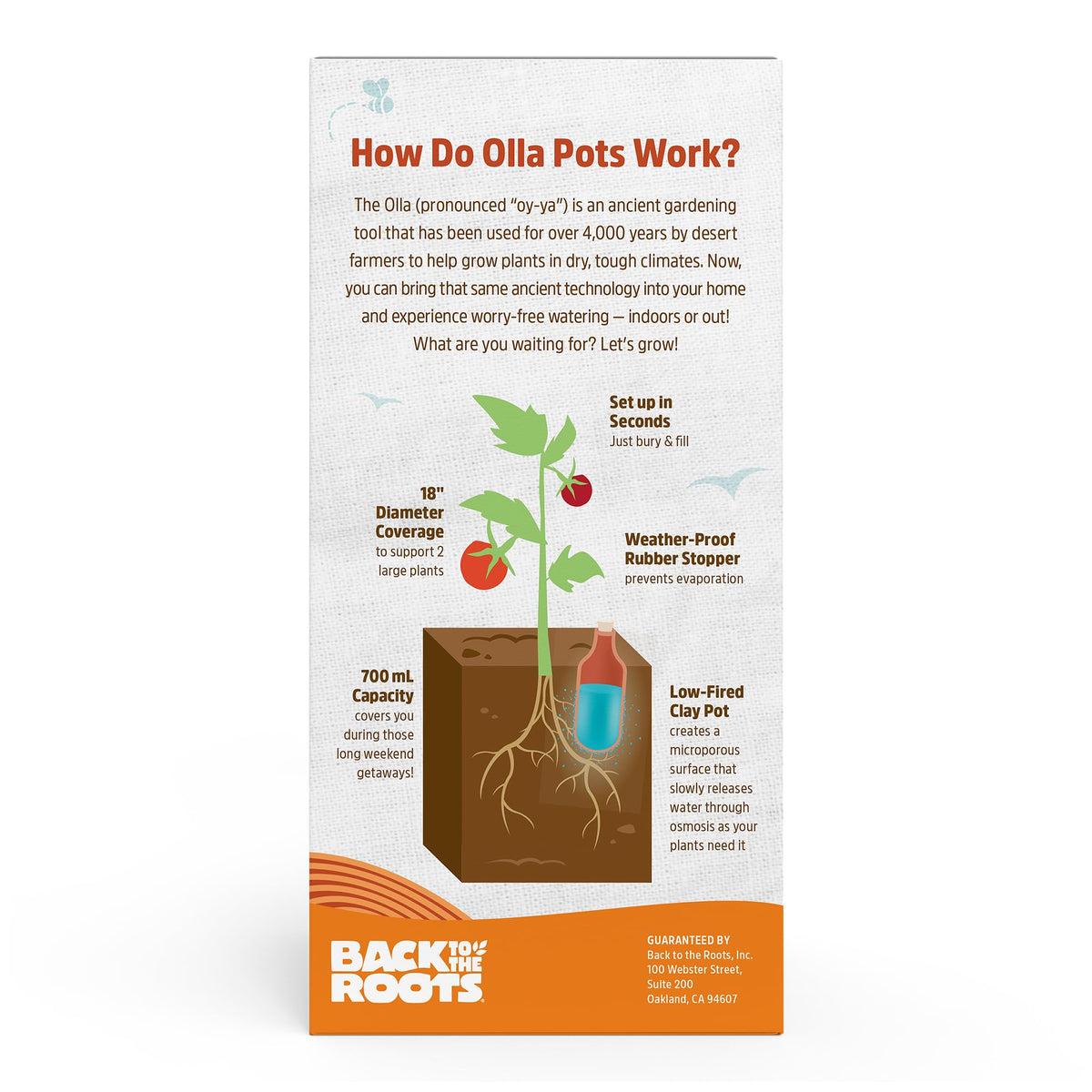 Back to the Roots Self-Watering Terracotta Olla Pot (Pack of 3), 700mL Provides 1 Week of Precision
