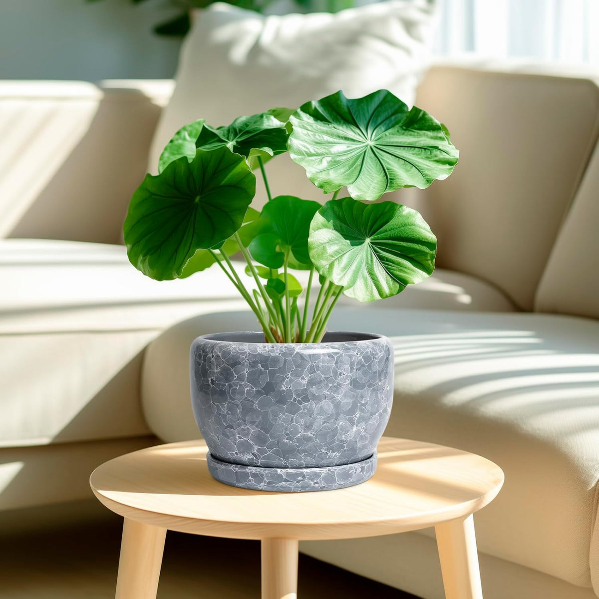 SQOWL 8 inch Plant pots Indoor - Ceramic Planter with Drainage Hole and Plant Saucer, Decorative
