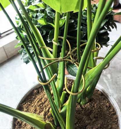 2PCS 7" Plant Stem Support,Stabilizer Grapple Holder for Monstera and Climbing Plants,Reusable