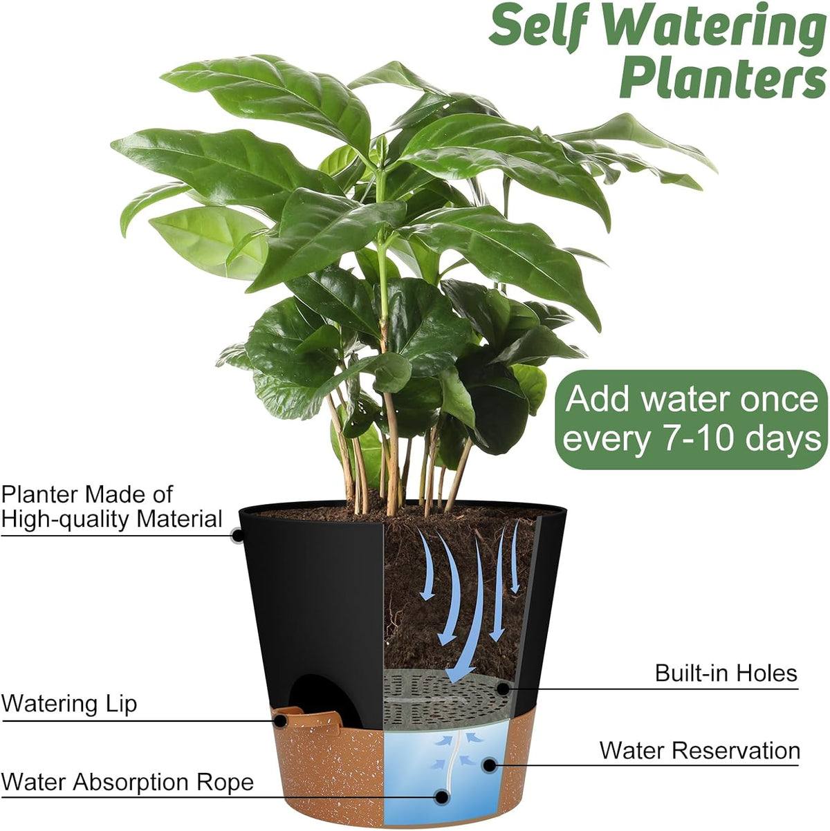 10-Inch Plant Pots, Self-Watering Planters with Drainage Holes & Saucers for Indoor and Outdoor