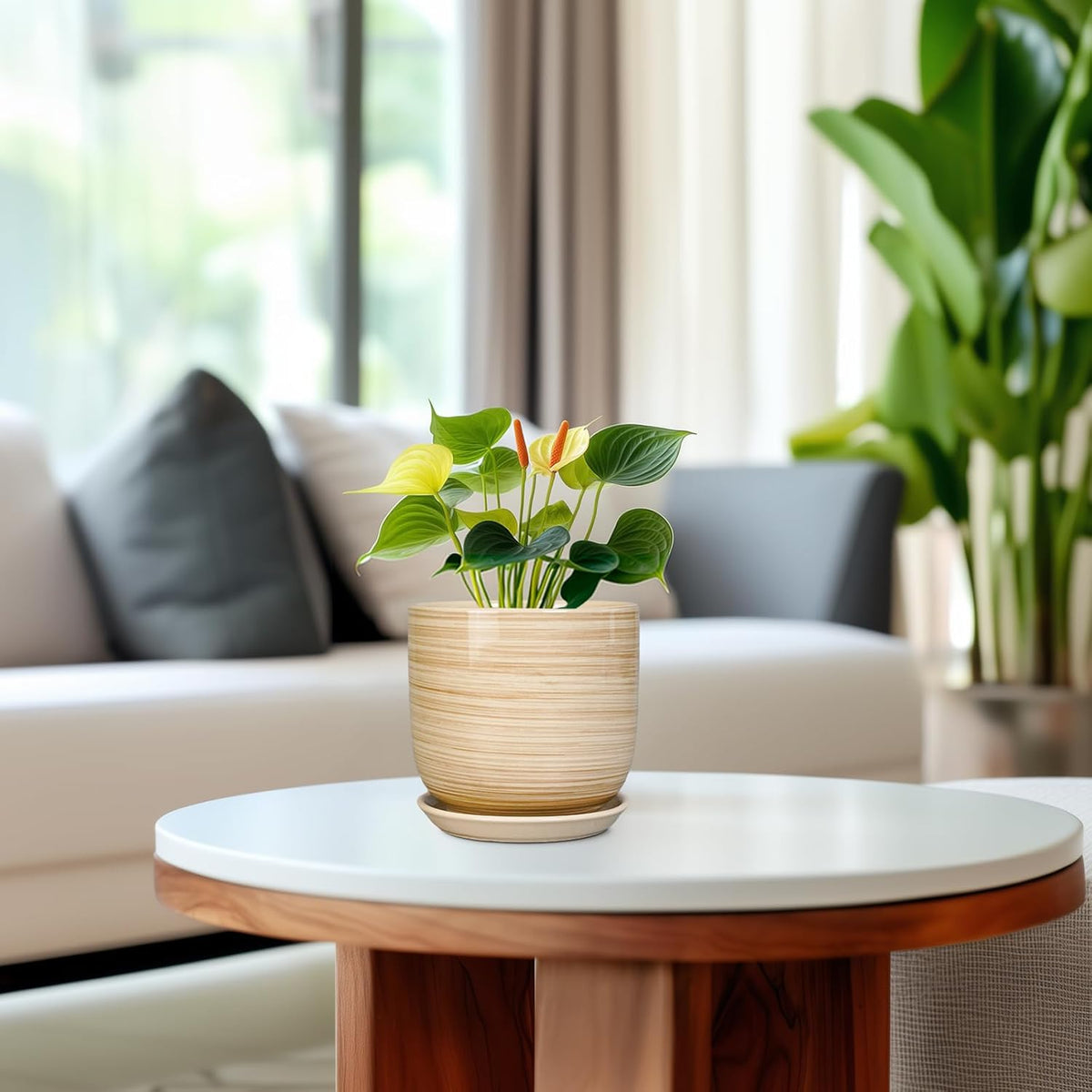 Ceramic Plant Pot 5 Inch - Modern Round Succulent Planter for Indoor Plants with Drainage Hole and