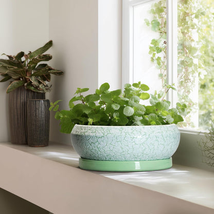 Bonsai Pots - 13 Inch Ceramic Succulent Pots for Indoor Outdoor, Large Shallow Planter with