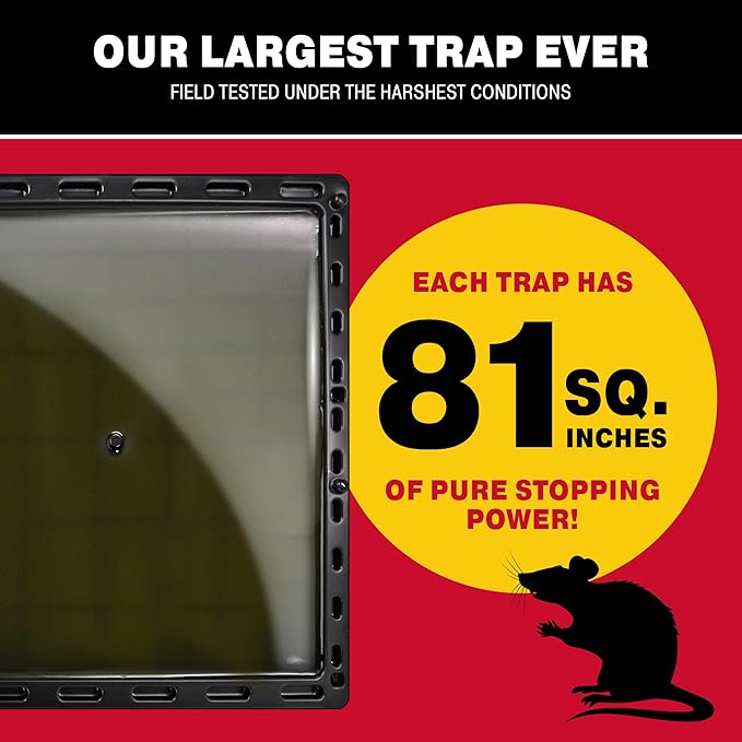 Catchmaster Jumbo Rat & Mouse Glue Traps 6Pk, Large Bulk Glue Board Rat & Mouse Traps Indoor for