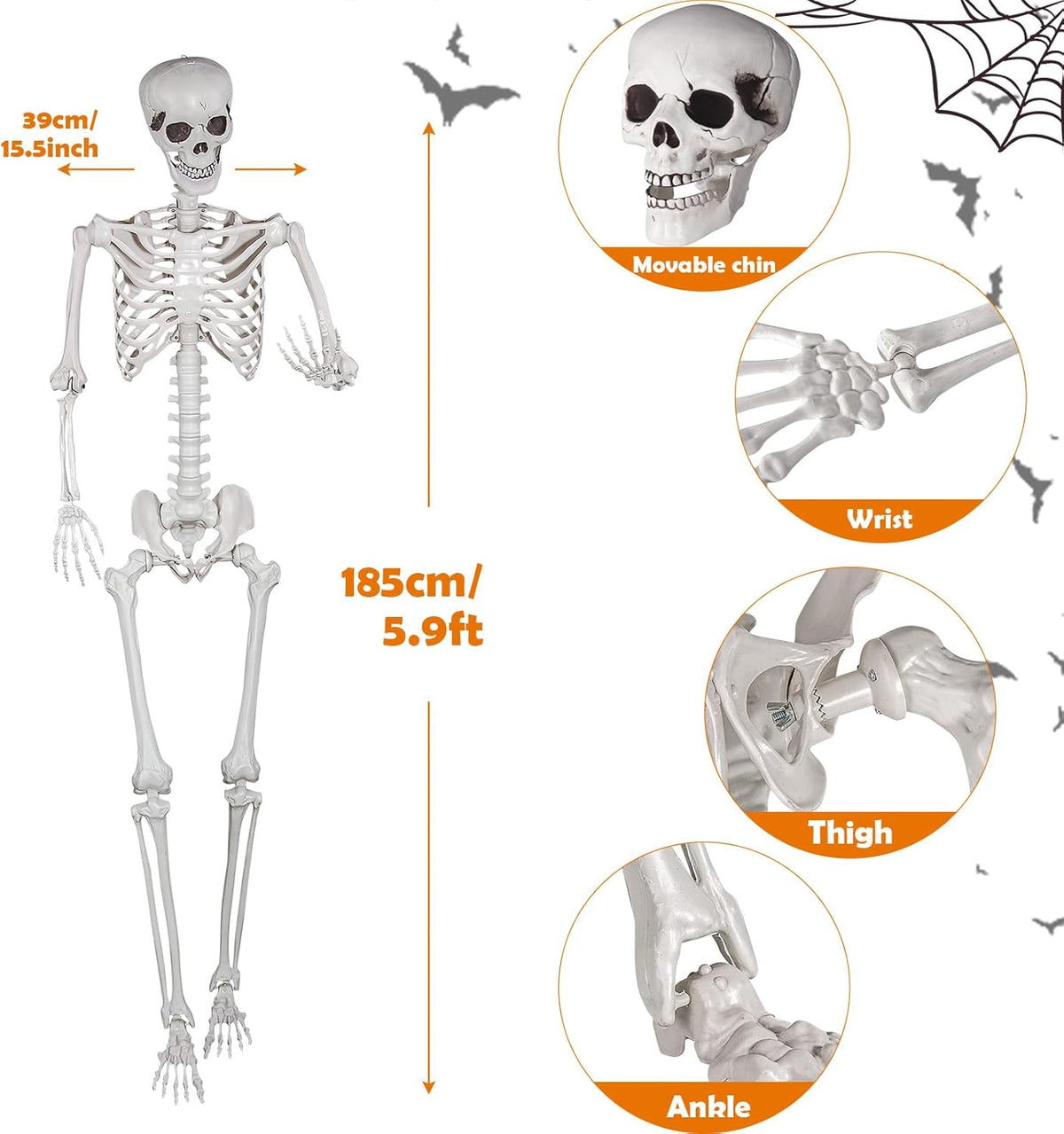 Halloween Skeleton, Realistic Life Size Skeleton with Movable Joints for Halloween Party Haunted