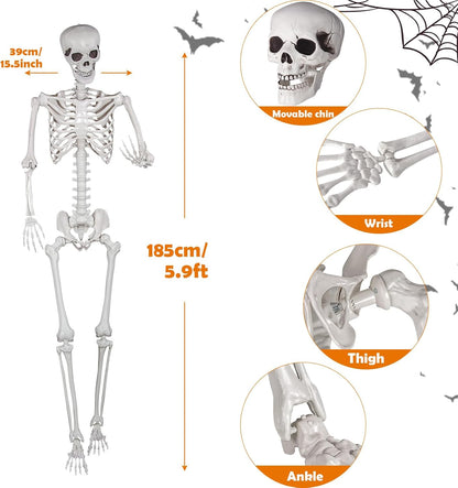 Halloween Skeleton, Realistic Life Size Skeleton with Movable Joints for Halloween Party Haunted