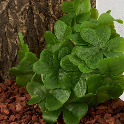 Reptile Plants for Terrarium, Amphibian Habitat Decor Artificial Hanging Plants with Suction Cup