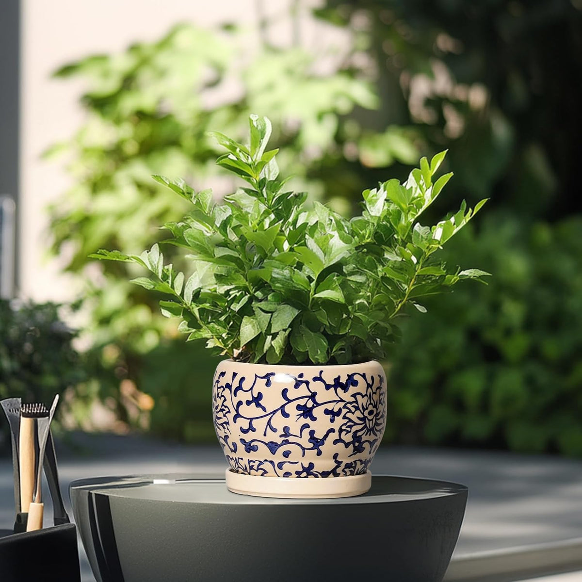 SQOWL Ceramic Flower Pots - 6 Inch Plant Pot Indoor with Drainage Hole and Saucer, Porcelain