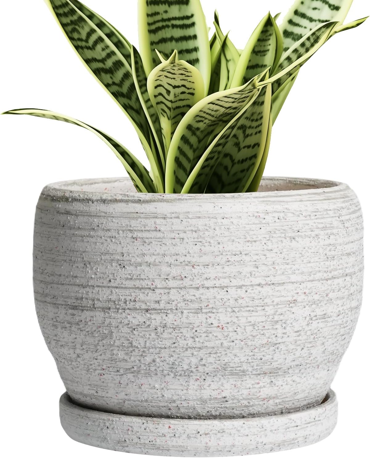 SQOWL Ceramic Planters for Indoor Plants - 6 Inch Plant Pot with Drainage Hole and Saucer, Small