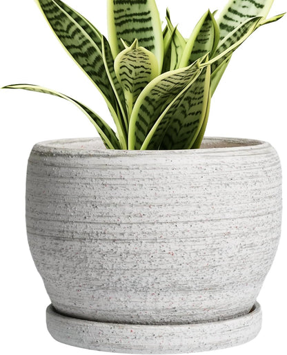 SQOWL Ceramic Planters for Indoor Plants - 6 Inch Plant Pot with Drainage Hole and Saucer, Small