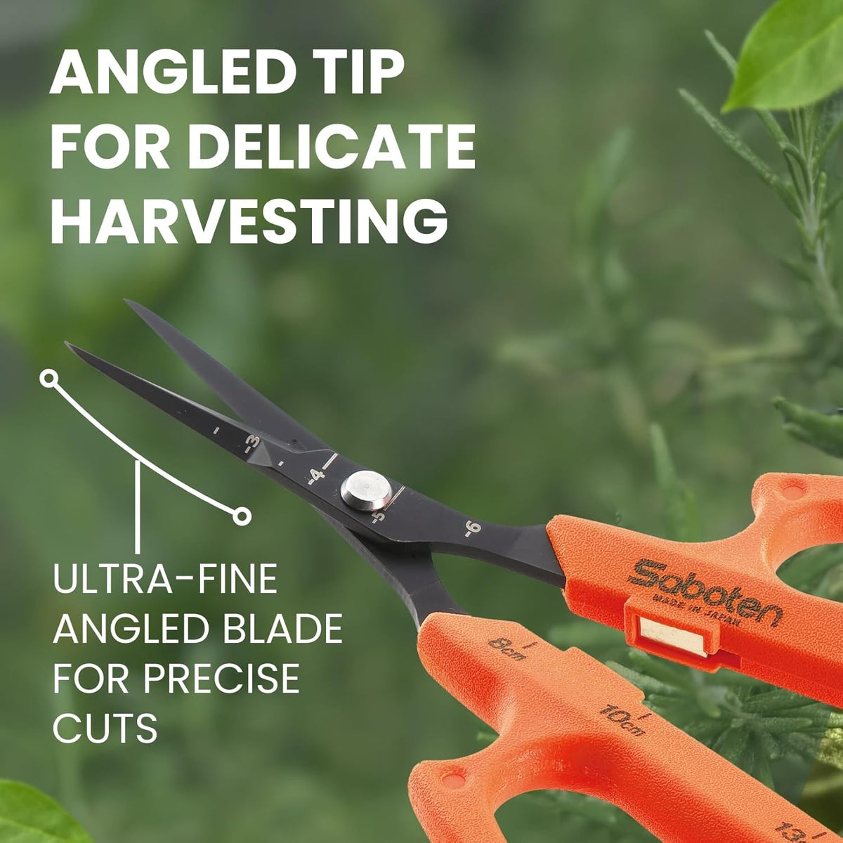 Saboten Japan 6.3" Automatic Japanese Harvesting Shears - Fine-Tipped Angled Blade, Magnetic