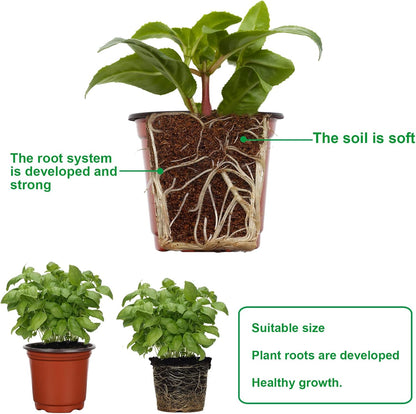 Augshy 40 Pcs 6" Plastic Plant Nursery Seed Starting Pots for Indoor Outdoor Succulent Seedling